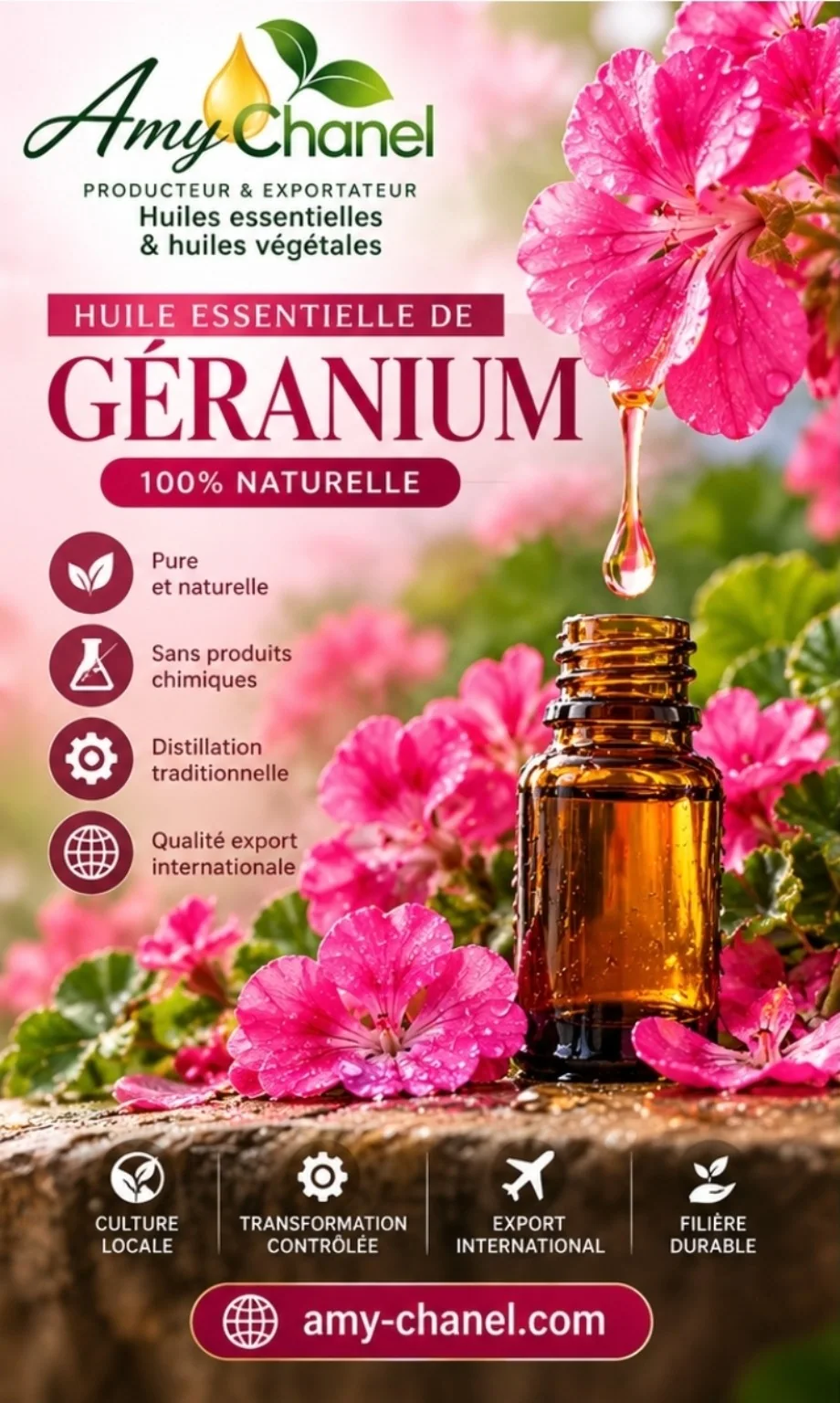 Le Géranium de Madagascar