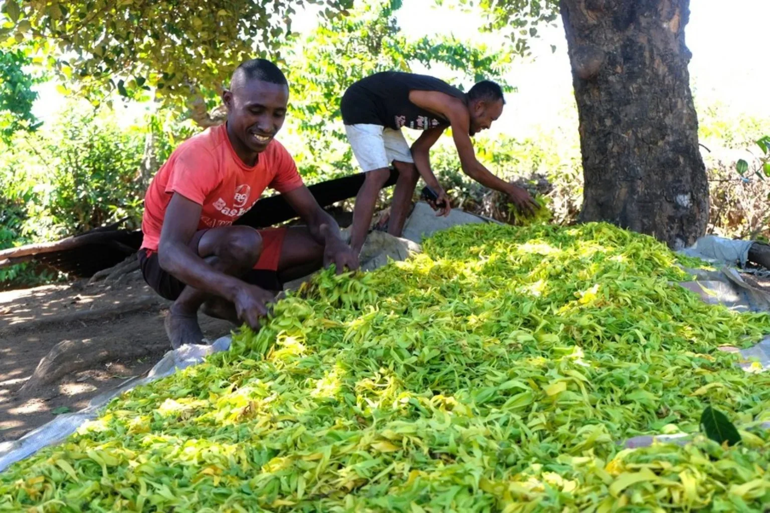 Au plus près des producteurs