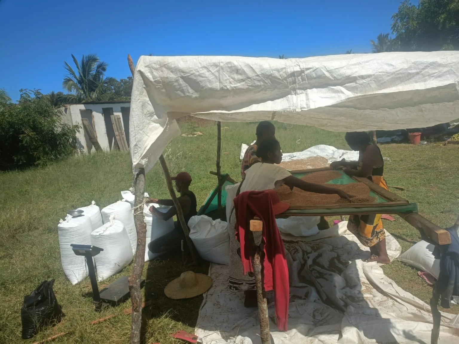 Un travail collectif sur le terrain