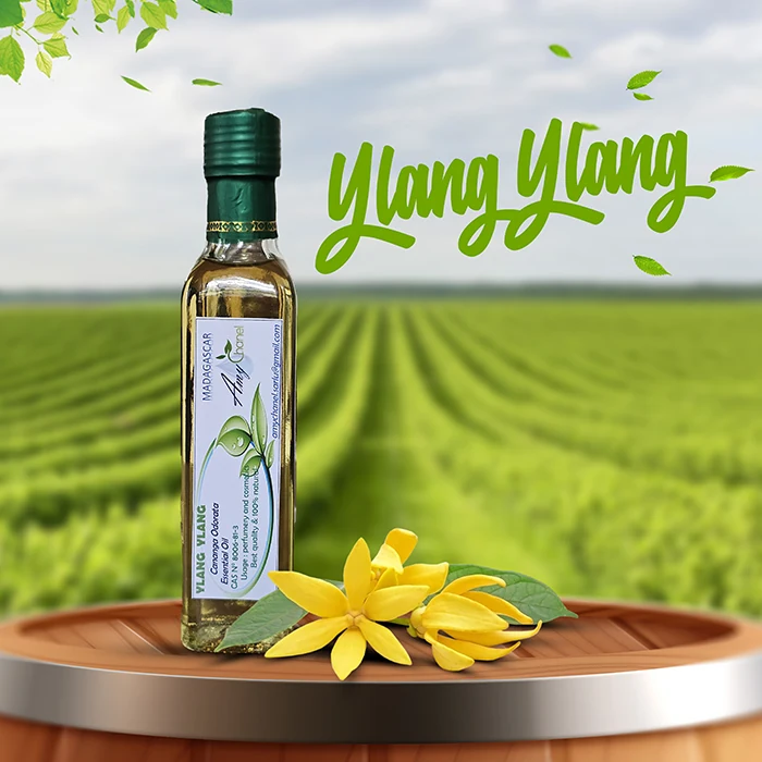 Ylang · flacon Amy Chanel