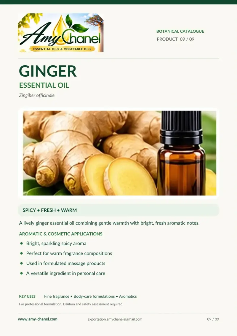 Fiche botanique Amy Chanel : Gingembre