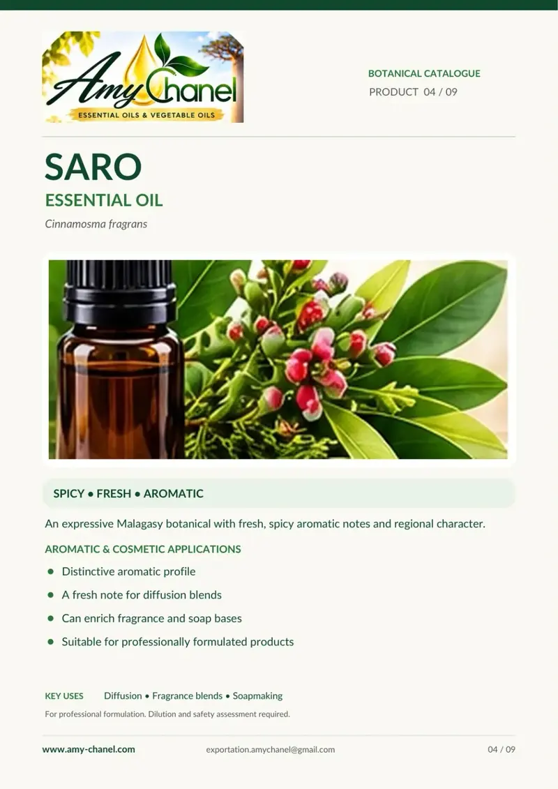 Fiche botanique Amy Chanel : Saro