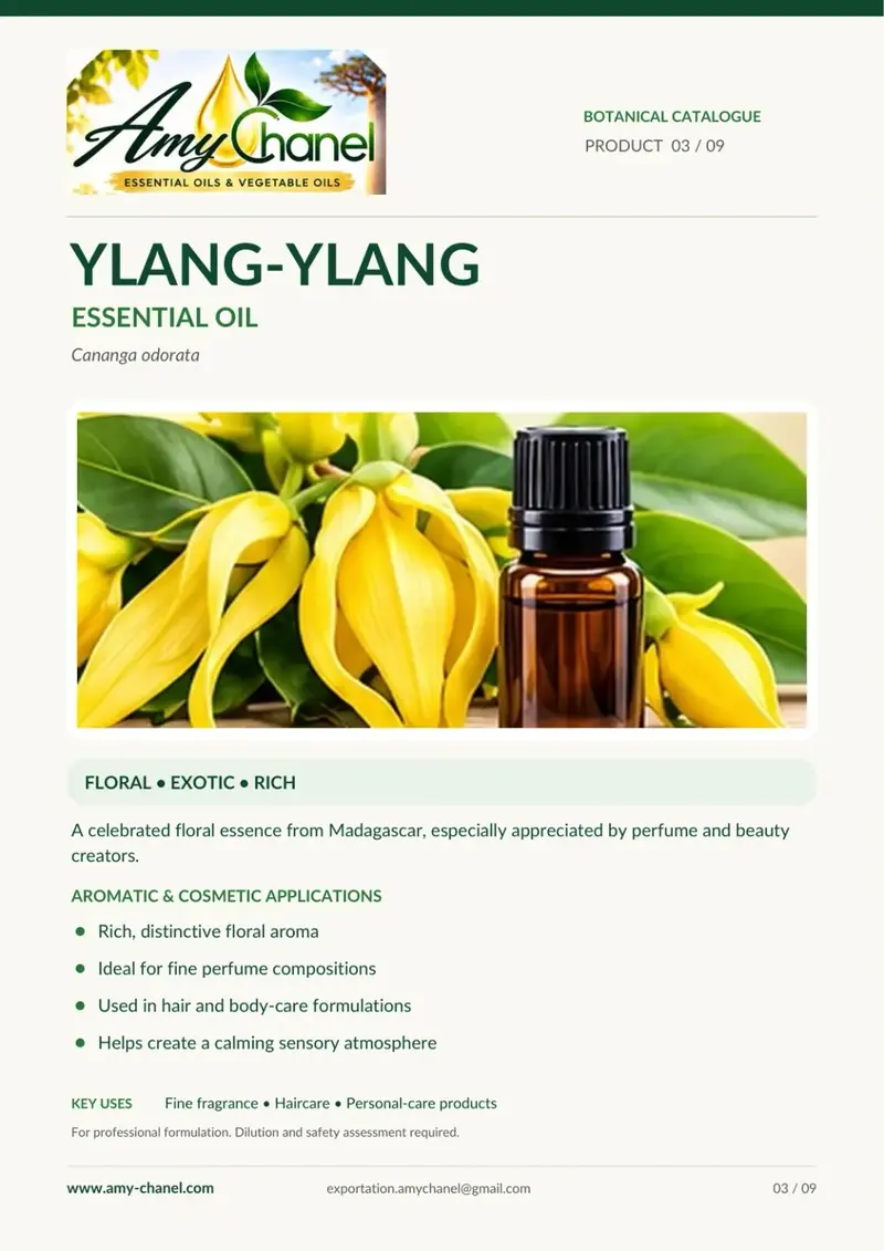 Fiche botanique Amy Chanel : Ylang-ylang